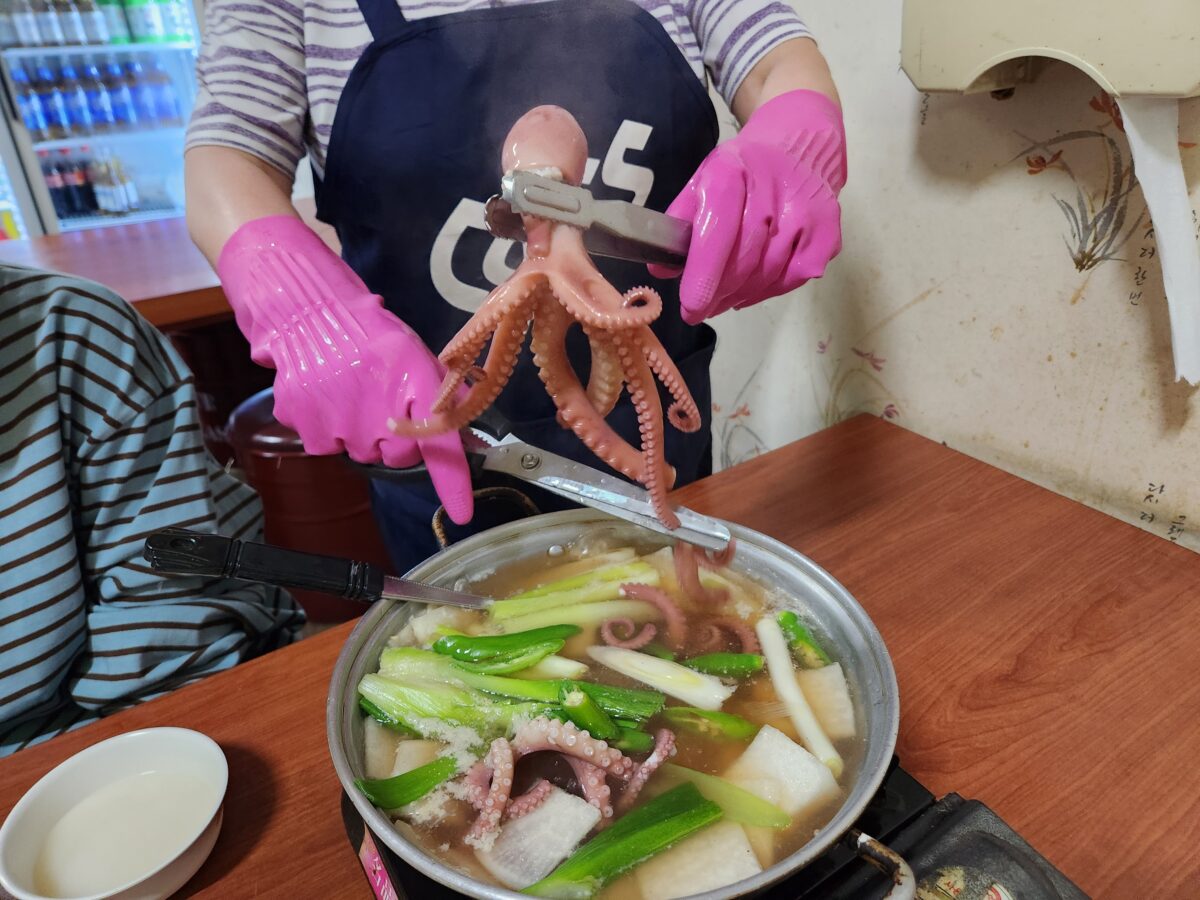 주방장님이 집게로 산낙지를 들어 연포탕 냄비에 넣으려는 모습.