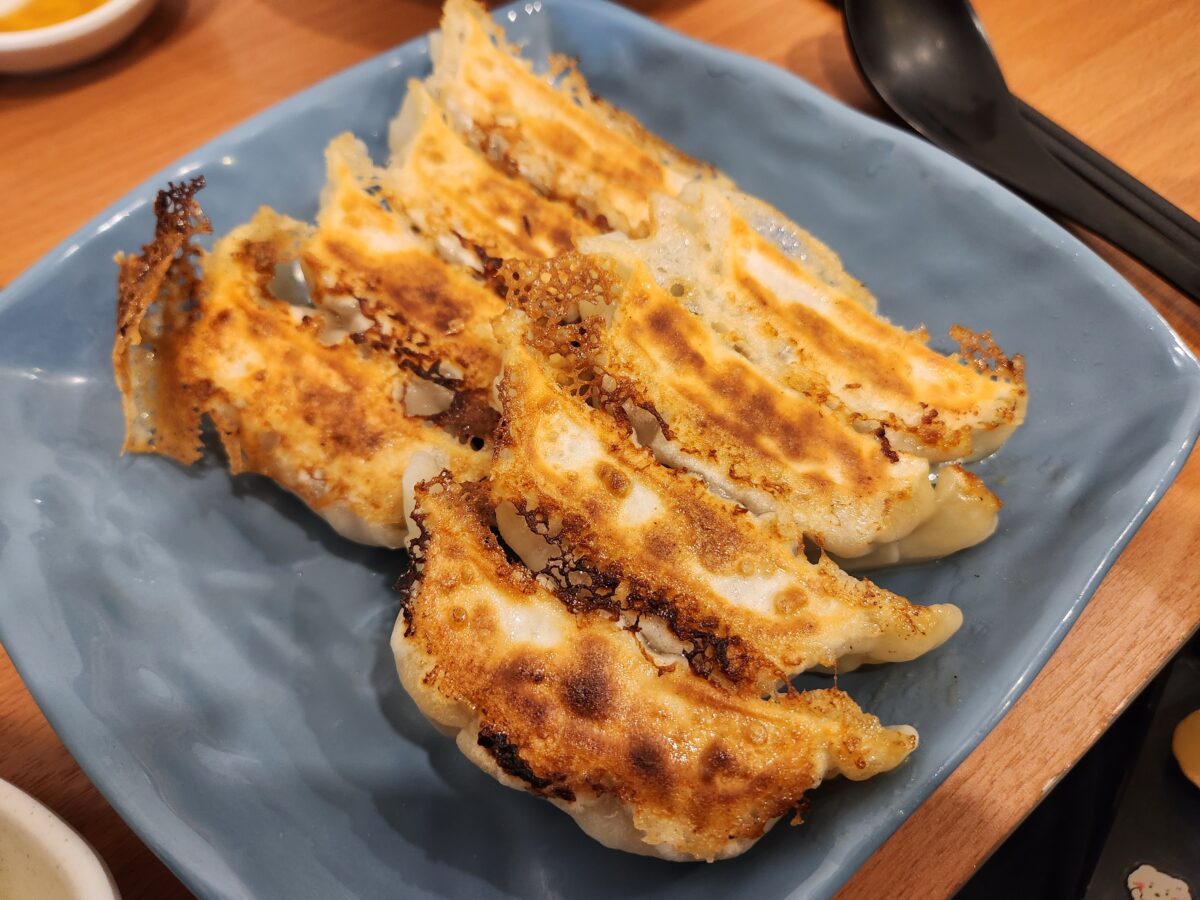 노릇하게 구워진 중국식 교자가 접시에 담겨 있다.