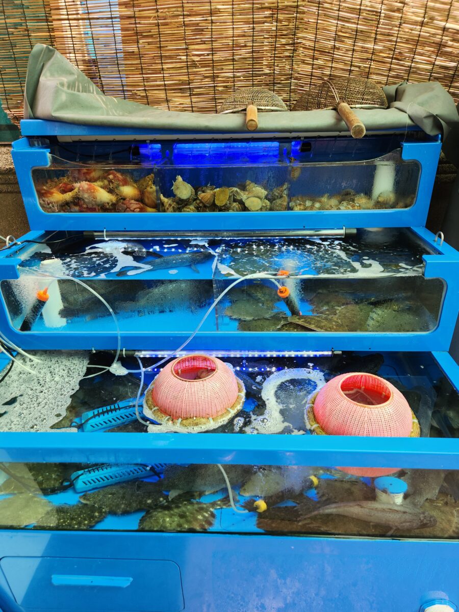 건물 입구에 설치된 수조 내 해산물들.