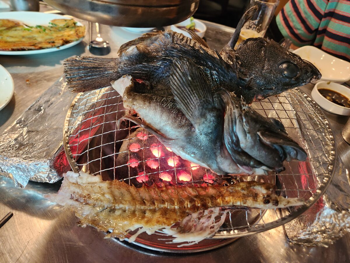 숯불 위 석쇠에서 익어가는 우럭구이 모습.